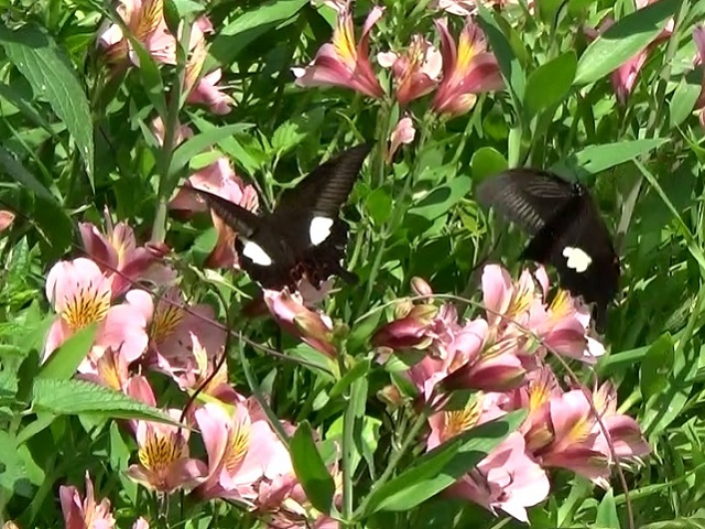 �`���E�`��