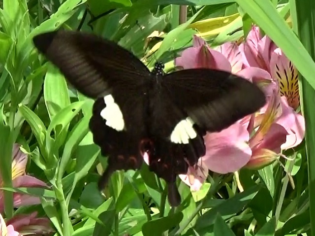 �`���E�`��