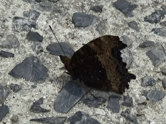 �`���E�`��