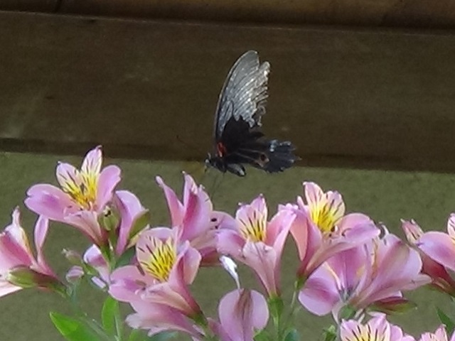 �`���E�`��