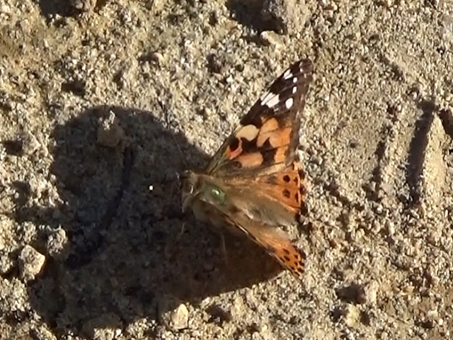 �`���E�`��