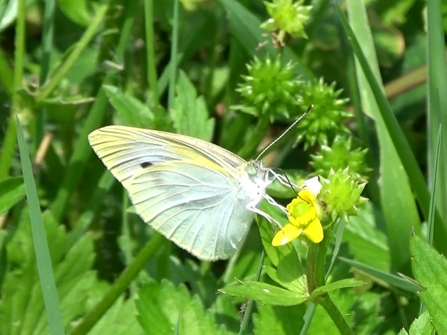 �`���E�`��