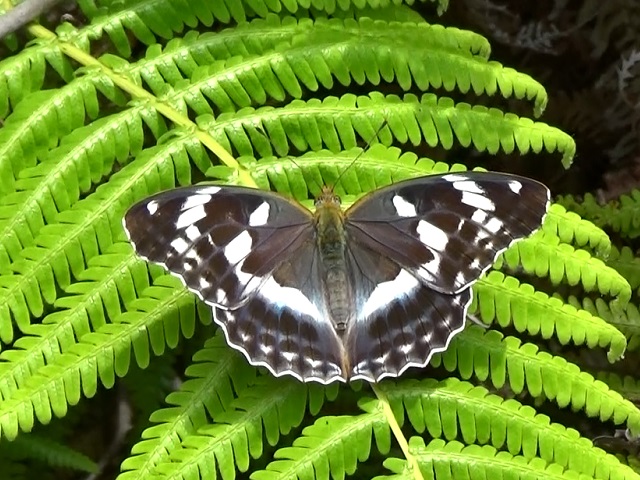 �`���E�`��