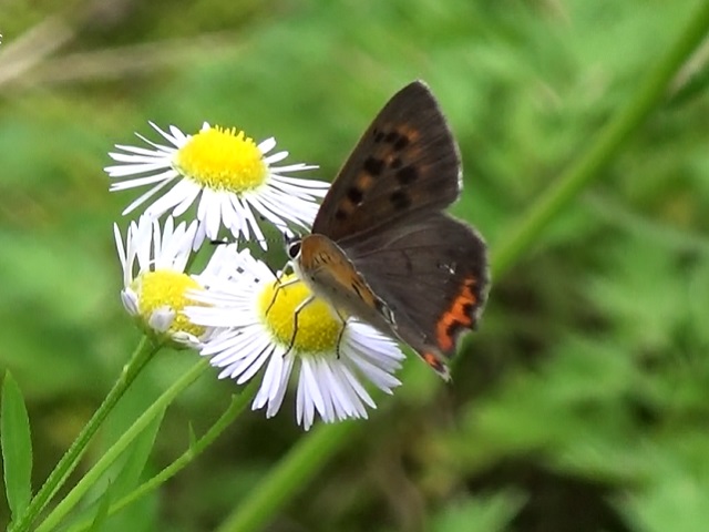 �`���E�`��