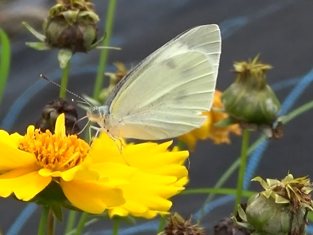 �`���E�`��