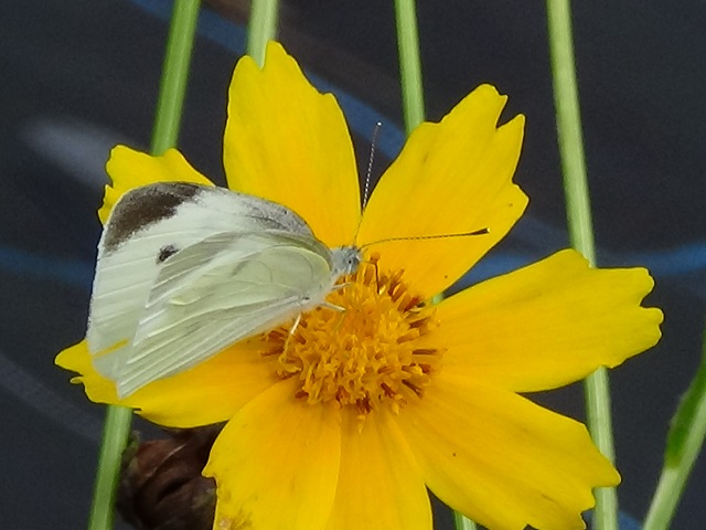 �`���E�`��