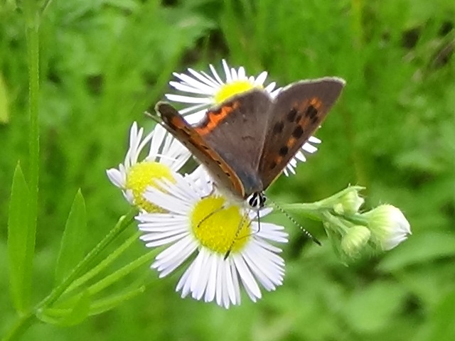 �`���E�`��