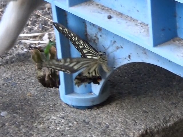 �`���E�`��