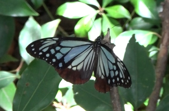 �`���E�`��