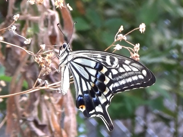 �`���E�`��