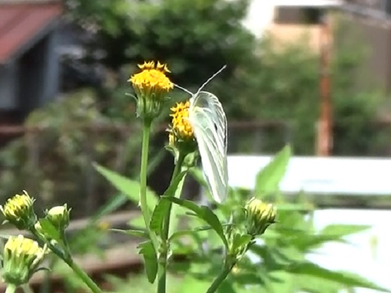 �`���E�`��