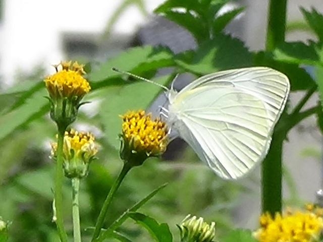 �`���E�`��