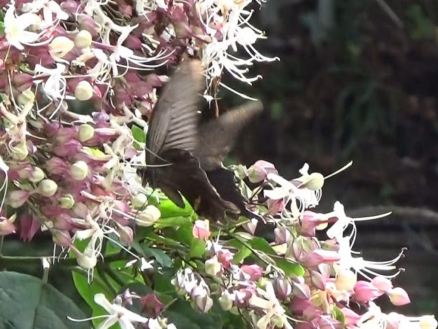 �`���E�`��