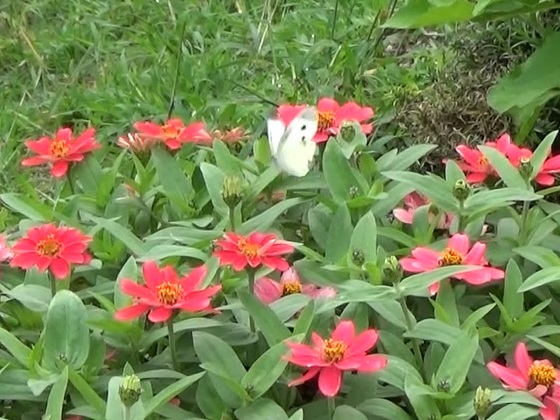 �`���E�`��