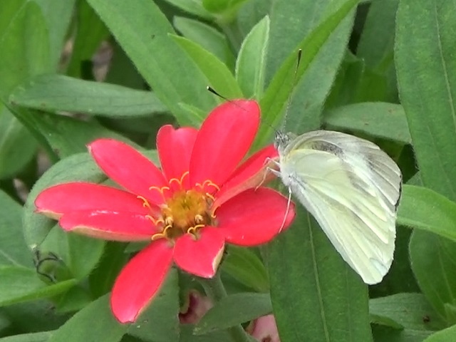 �`���E�`��