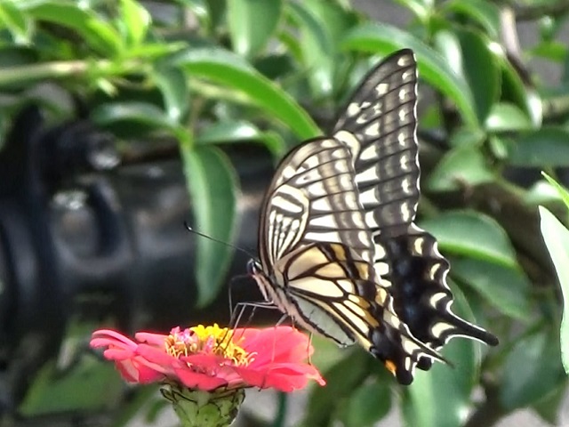 �`���E�`��