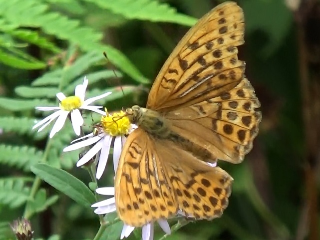 �`���E�`��