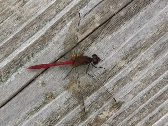 �`���E�`��