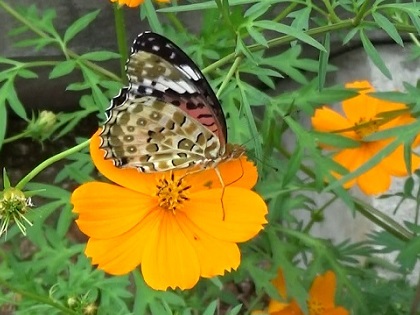 �`���E�`��