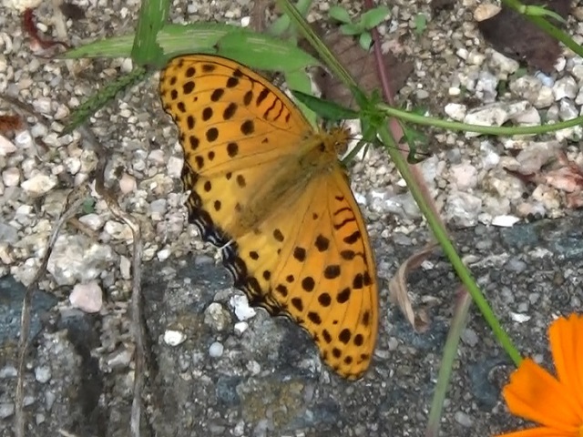 �`���E�`��