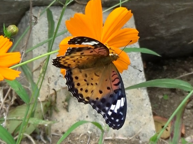 �`���E�`��