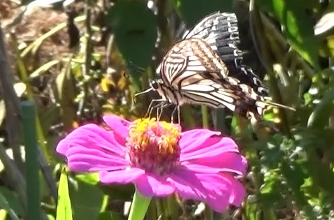 �`���E�`��