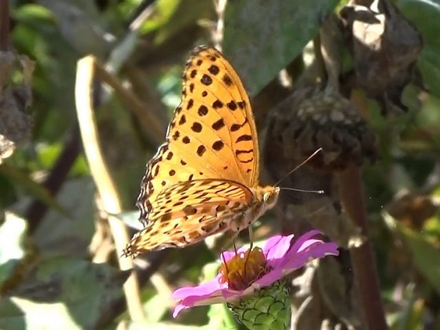 �`���E�`��