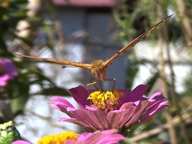 �`���E�`��