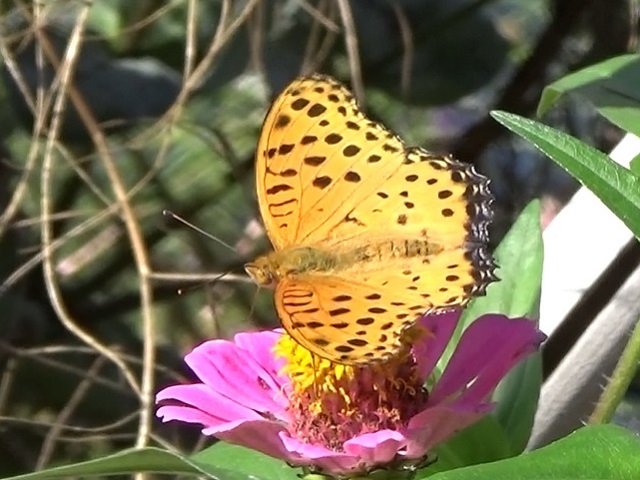 �`���E�`��