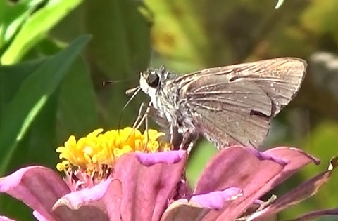 �`���E�`��