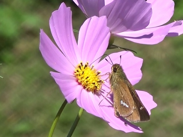 �`���E�`��