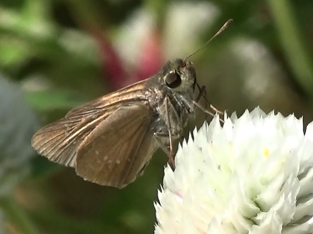 �`���E�`��