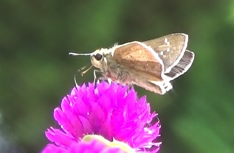 �`���E�`��