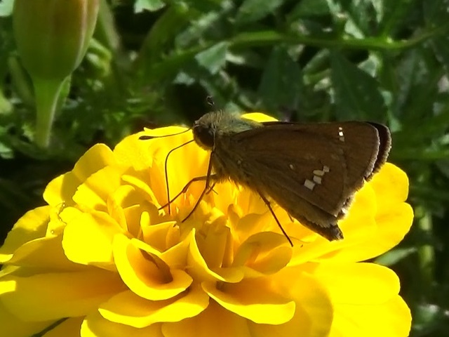 �`���E�`��