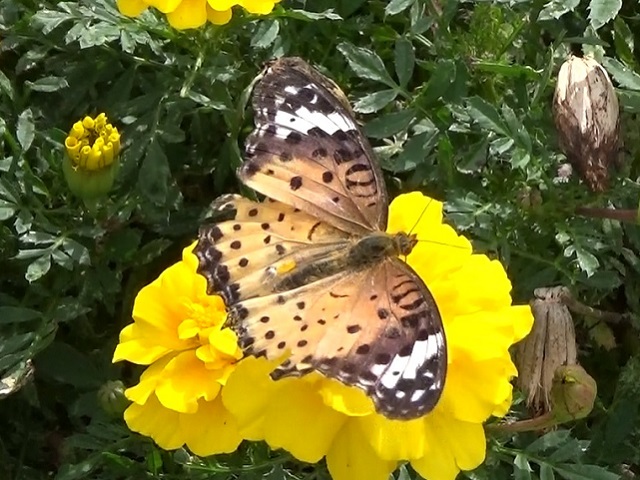 �`���E�`��