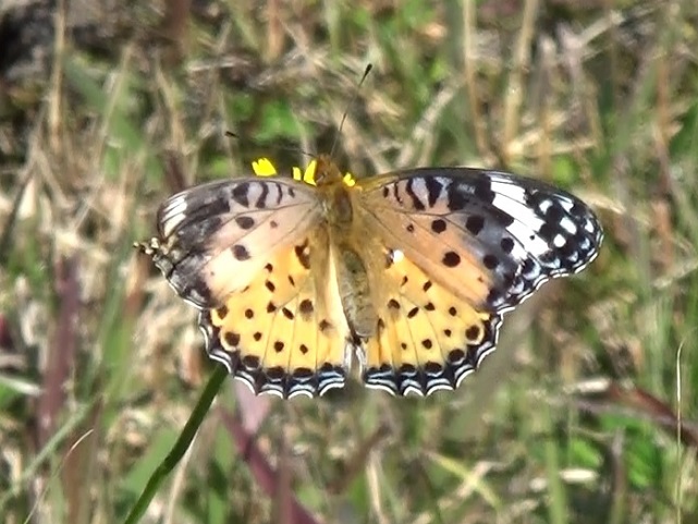 �`���E�`��