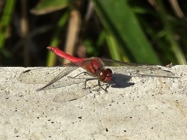 �`���E�`��