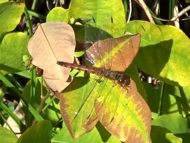 �`���E�`��