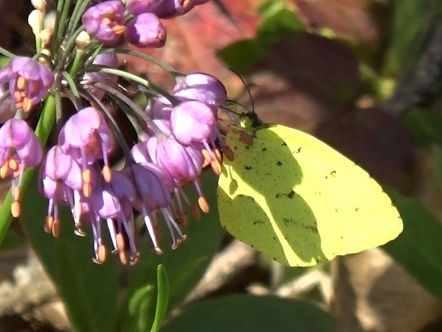 �`���E�`��