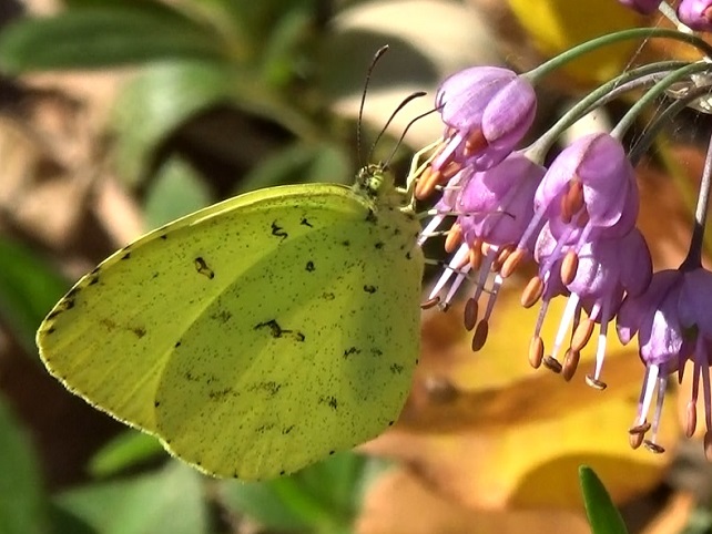 �`���E�`��