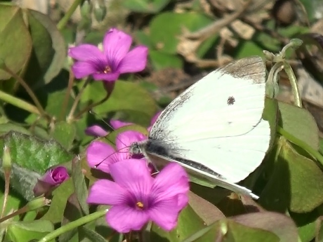 �`���E�`��