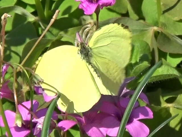 �`���E�`��