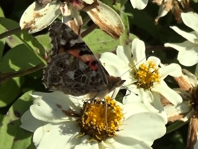 �`���E�`��