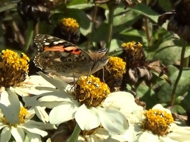 �`���E�`��