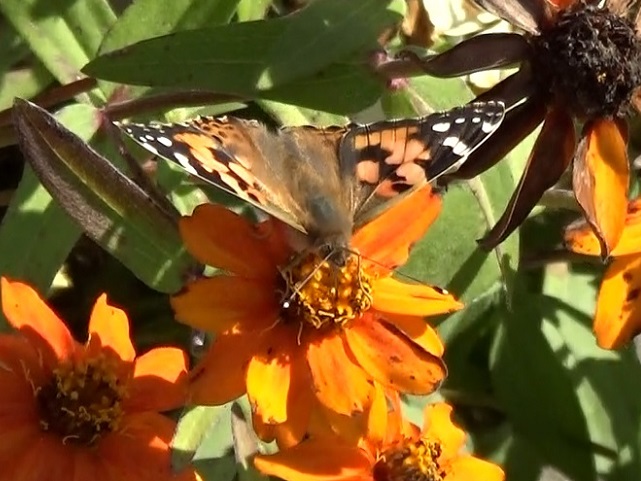 �`���E�`��