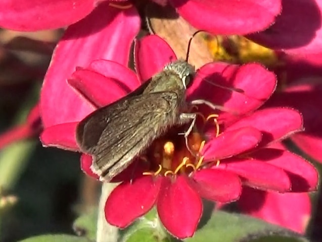 �`���E�`��