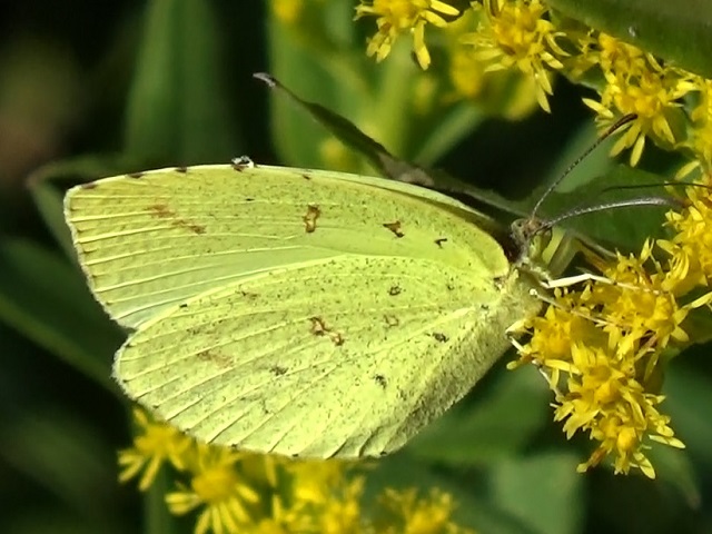 �`���E�`��