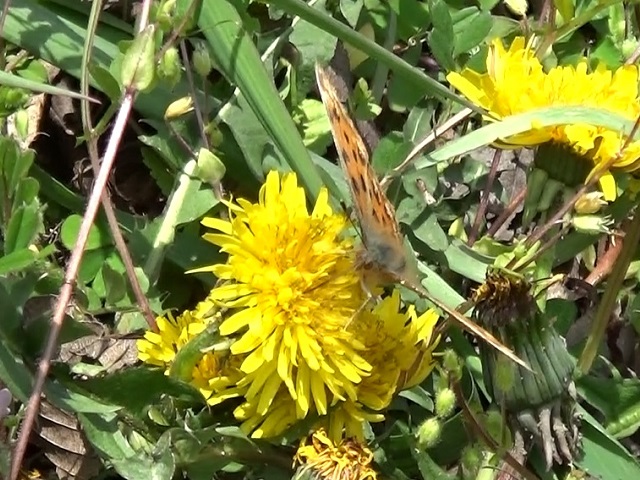 �`���E�`��