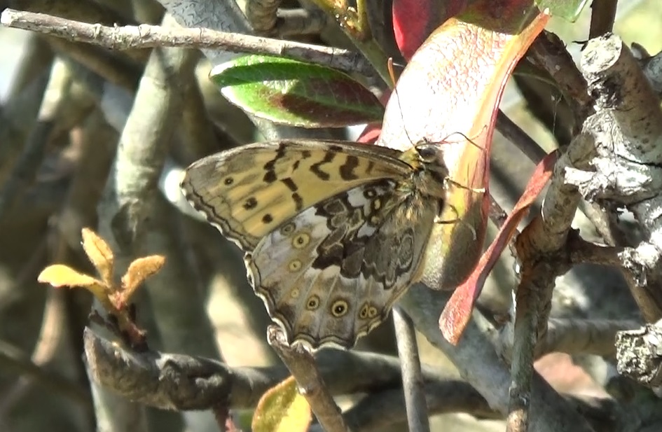 �`���E�`��