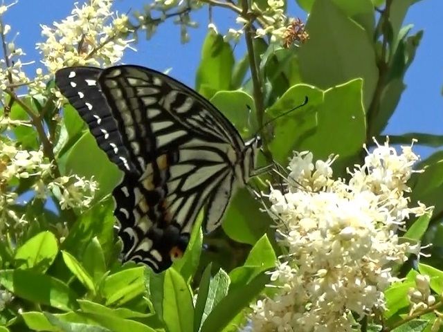 �`���E�`��